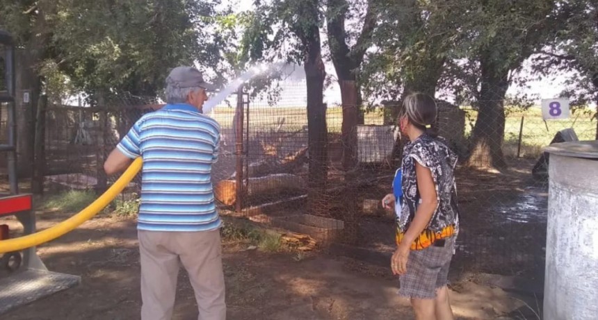 LOS BOMBEROS REFRESCARON A OS PERROS DEL HOGAR