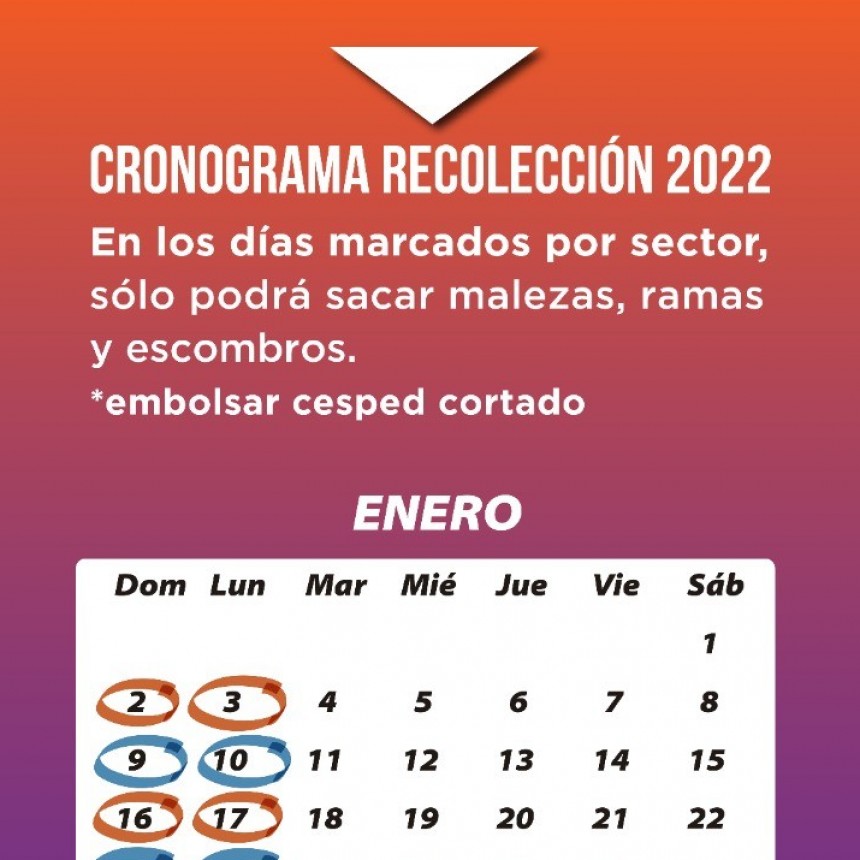 MALEZAS A LA VÍA PÚBLICA