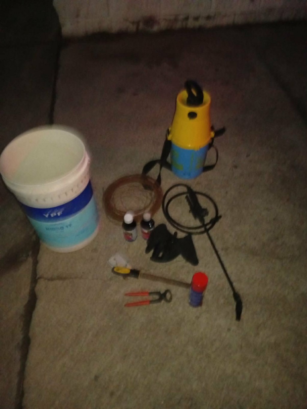 ROBO EN FLAGRANCIA EN LA LAGUNA