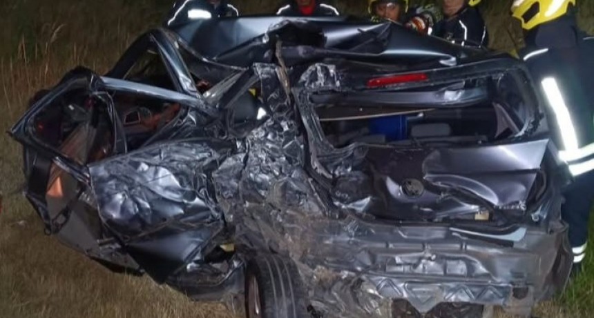 LEONES: ACCIDENTE EN AUTOPISTA 9