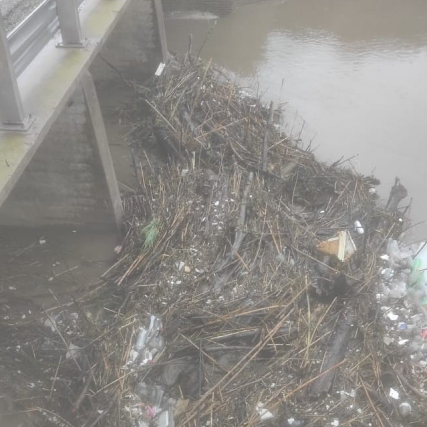 OTRA VEZ BASURA Y MALEZA EN EL RÍO SALADILLO