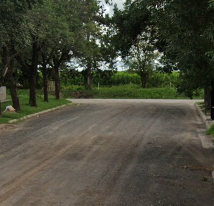 EN BARRIO LAUDI HABLAN DE UNA INVASIÓN DE RATONES