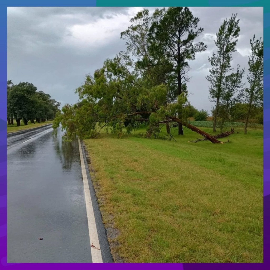 FUERTE VIENTO EN CORRAL DE BUSTOS