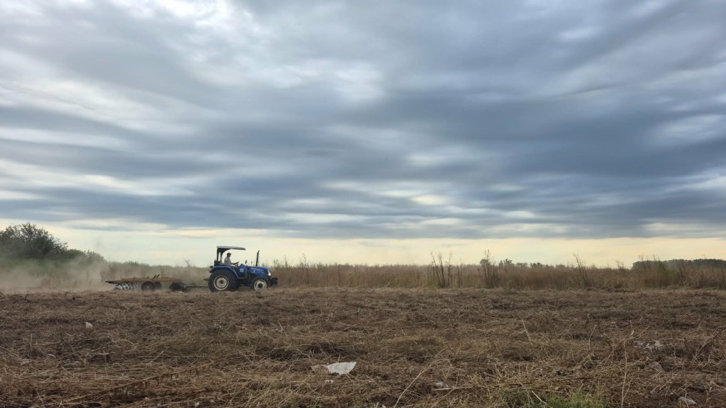 YA SE TRABAJA EN EL LOTEO MUNICIPAL PAPA FRANCISCO