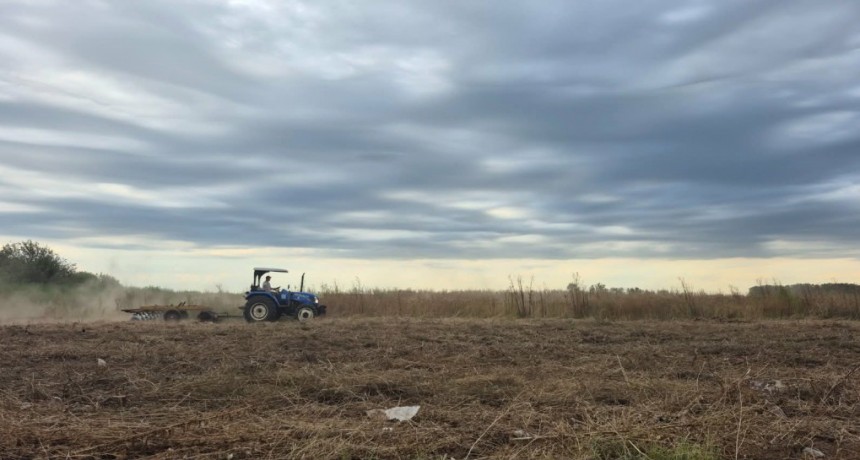 YA SE TRABAJA EN EL LOTEO MUNICIPAL PAPA FRANCISCO