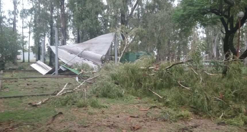 LA NECESIDAD DE ADAPTACIÓN A LOS CAMBIOS DEL CLIMA