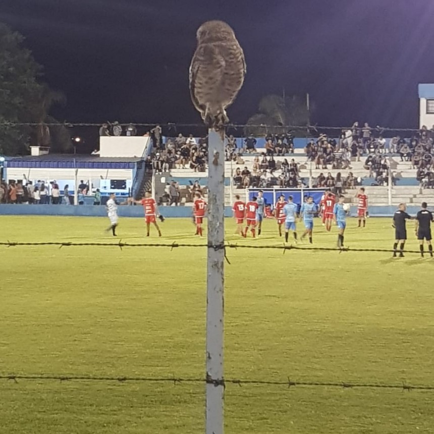 LAMBERT LE GANÓ 1 A 0 A SPORTING