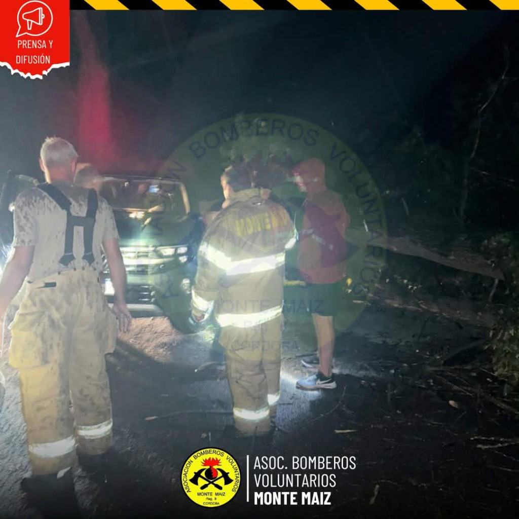 CAY&Oacute; UN &Aacute;RBOL SOBRE UNA CAMIONETA
