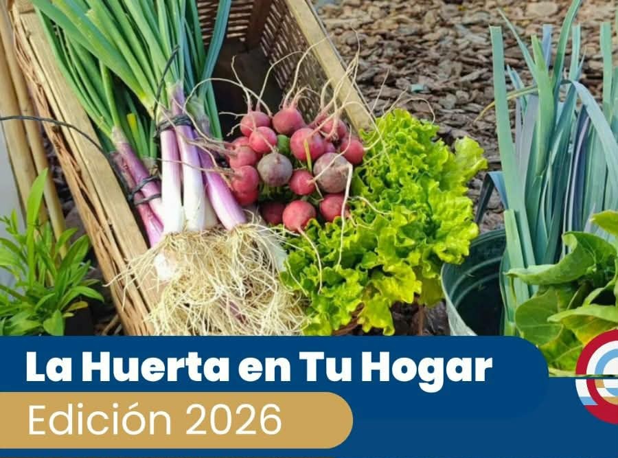 LA HUERTA EN TU HOGAR 2026
