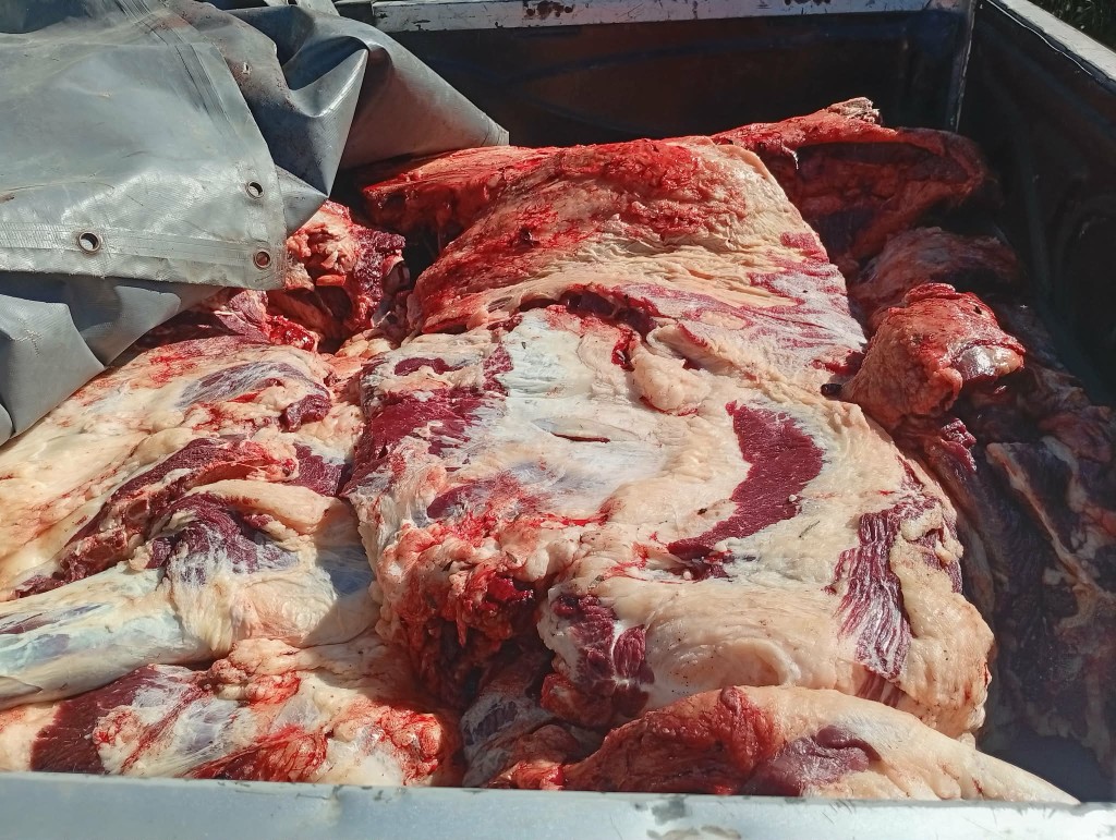 APREHENSI&Oacute;N POR FAENAMIENTO CLANDESTINO