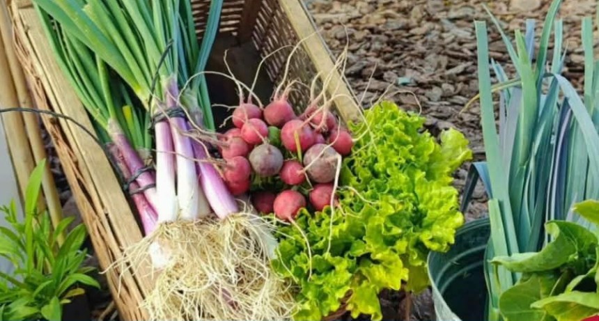 LA HUERTA EN TU HOGAR 2026