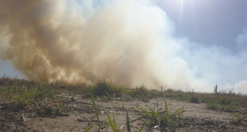 INCENDIO EN ZONA RURAL