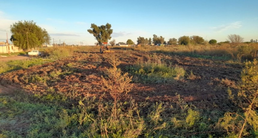 LOTEO DE BARRIO NORTE PARA CONSTRUCCIÓN DE VIVIENDAS