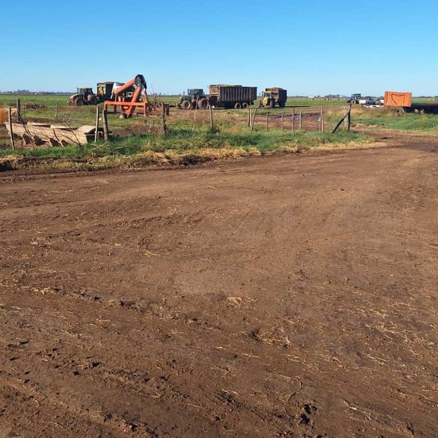 TRAGEDIA EN UN CAMPO DE TÍO PUJIO