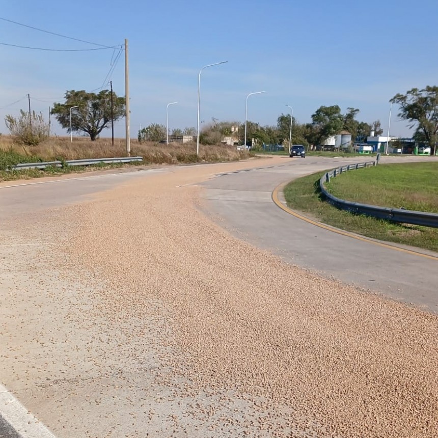 DERRAME DE CEREAL EN LA ROTONDA DE PROGRESO
