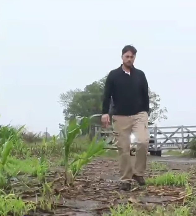 EL RESPETO POR LOS TIEMPOS DEL SUELO