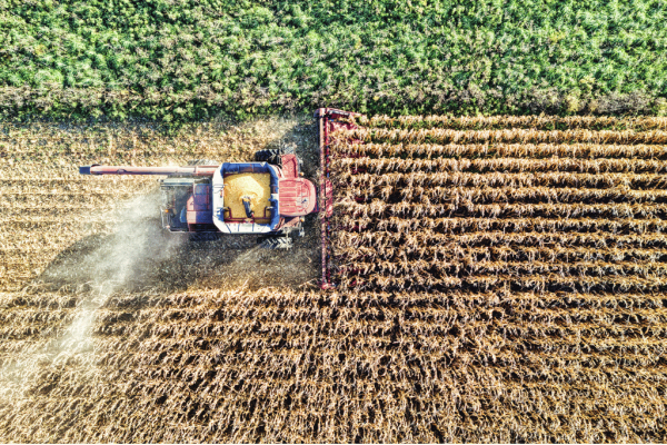 IMPACTOS DE LA GUERRA EN EL AGRO ARGENTINO