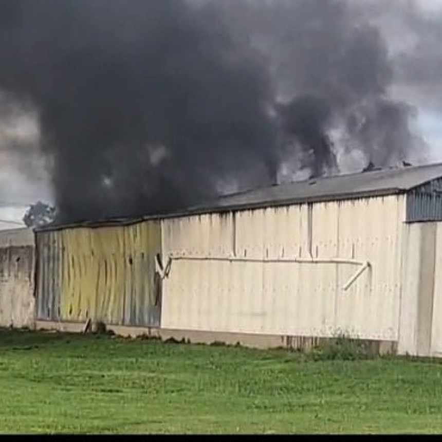 INCENDIO EN WENCESLAO ESCALANTE