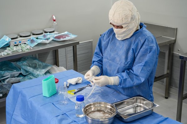 RECORD HIST&Oacute;RICO DE DONACI&Oacute;N DE PLACENTA EN LA PROVINCIA