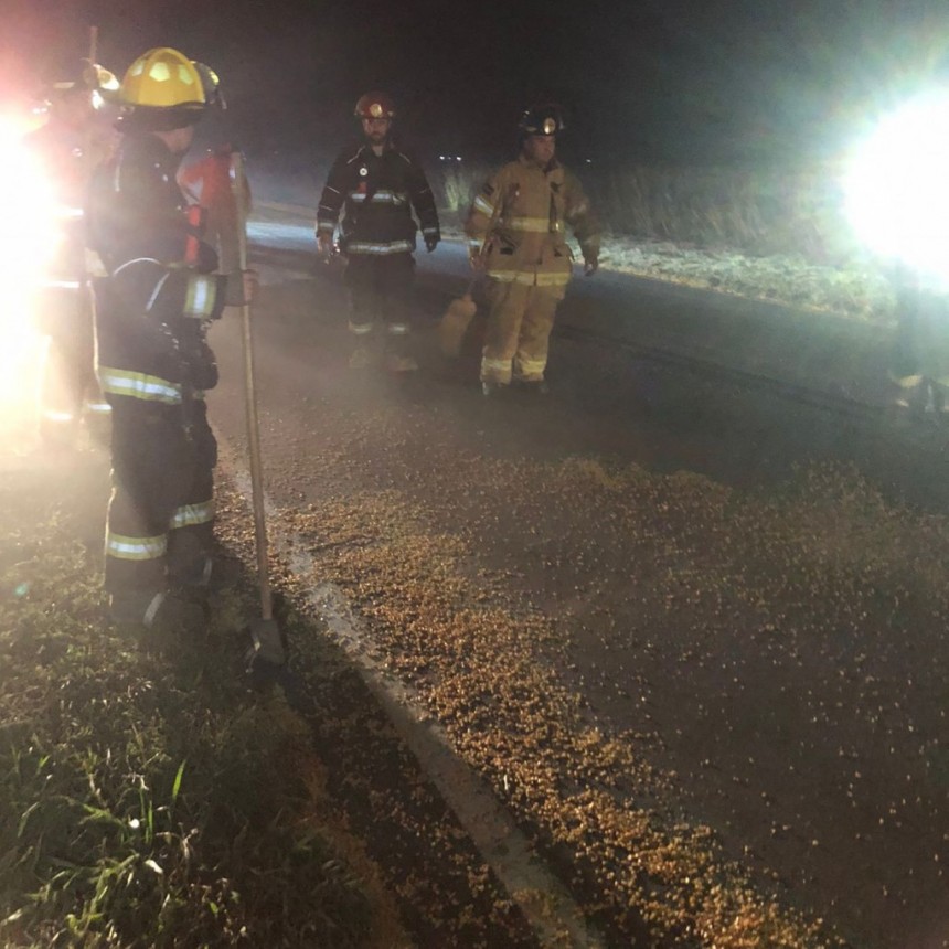 CAMIÓN PERDIÓ CARGA DE CEREAL EN RUTA 11