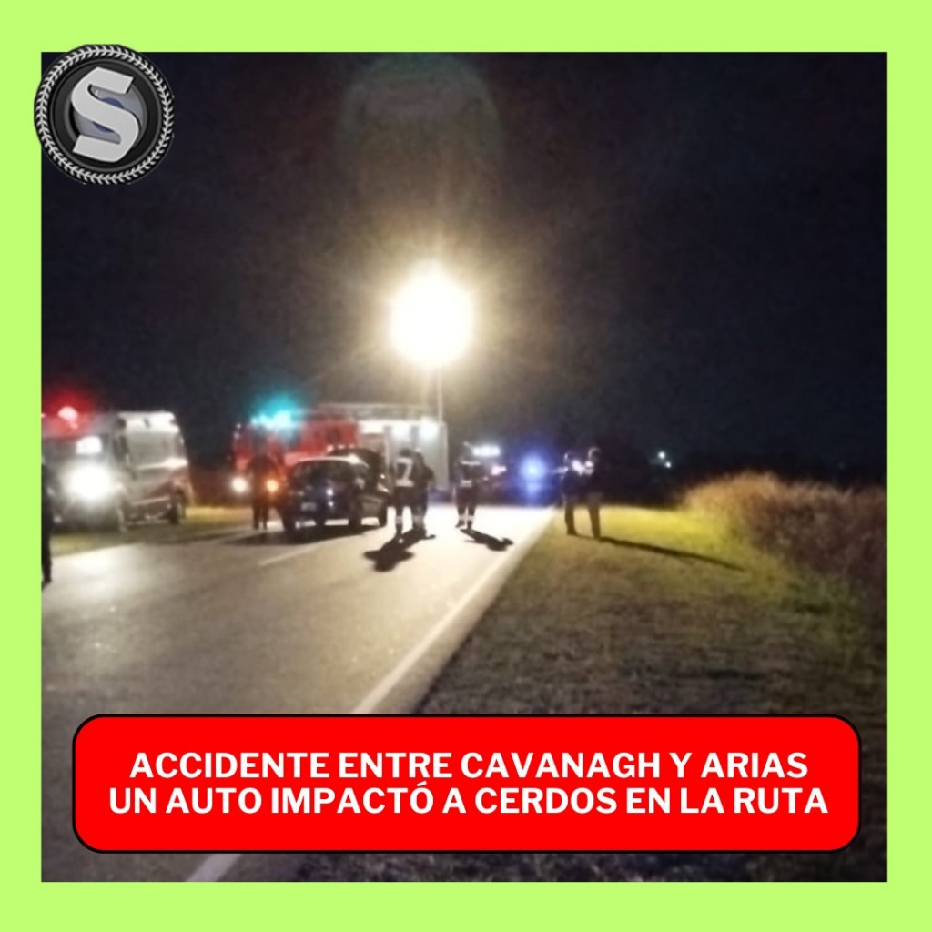 AUTOMOVILISTA CHOCÓ CON CERDOS EN LA RUTA 3