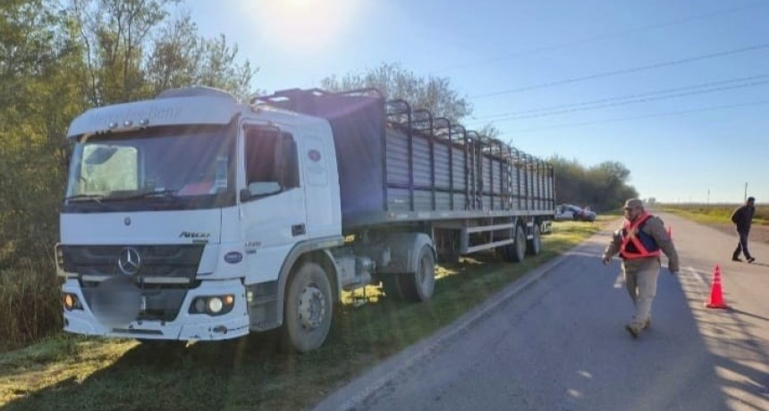 OPERATIVOS INTERFUERZAS EN EL SUR PROVINCIAL