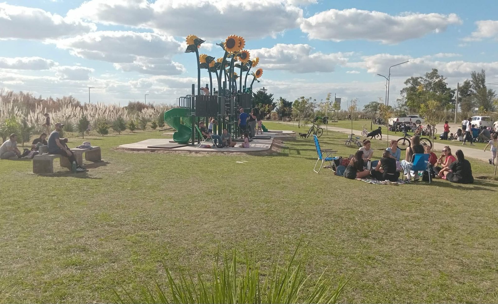 FUROR POR EL PARQUECITO DEL SANTA B&Aacute;RBARA