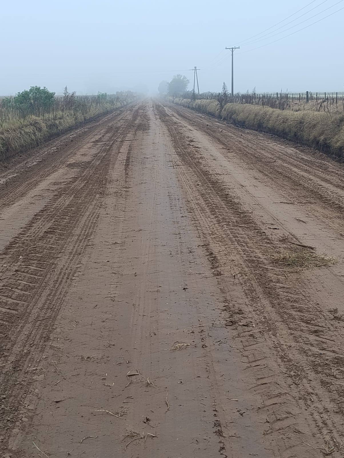 MANTENIMIENTO EN LA RED VIAL RURAL
