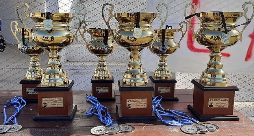 LOS CAMPEONES DEL APERTURA