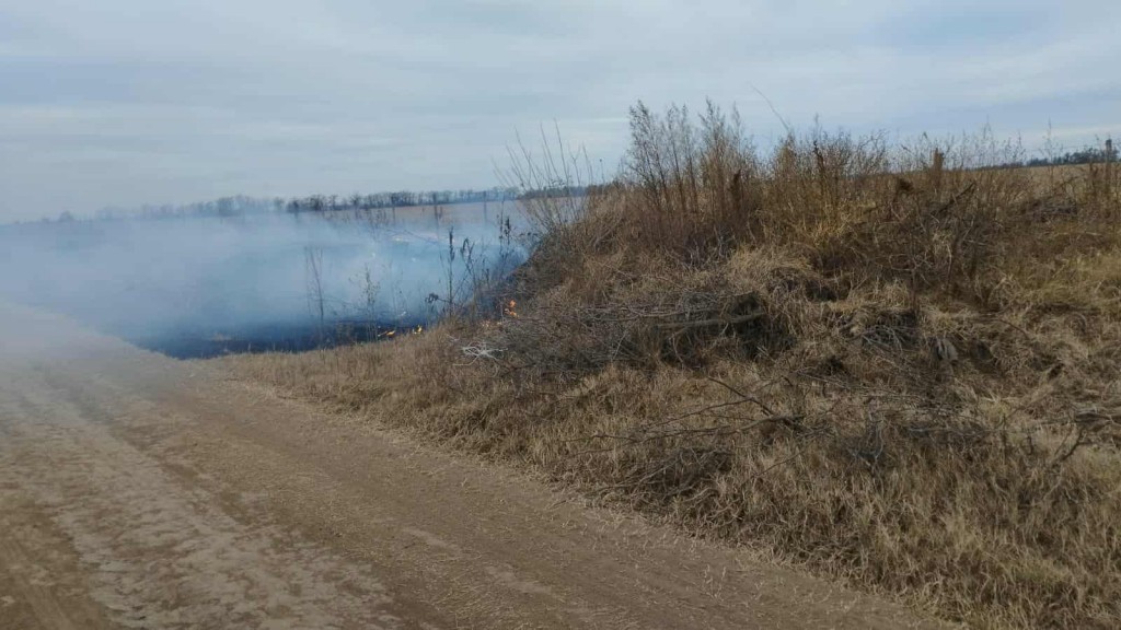 INCENDIO DE PASTIZALES EN INGRESO A COLONIA BARGE