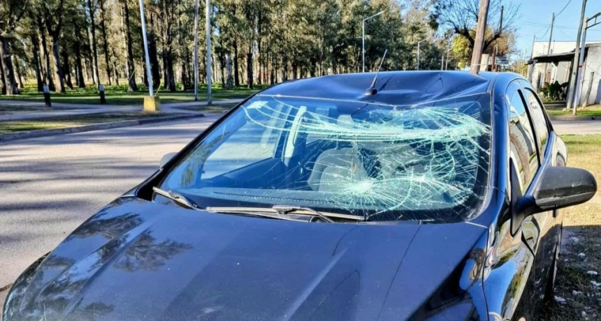 PASCANAS; ANDABA POR LOS TECHOS Y CAYÓ DENTRO DE UN TALLER