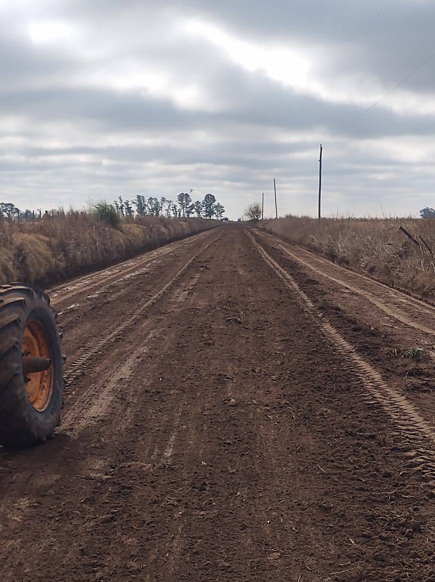IMPORTANTE AVANCE EN ARREGLODLO DE CAMINO RURAL