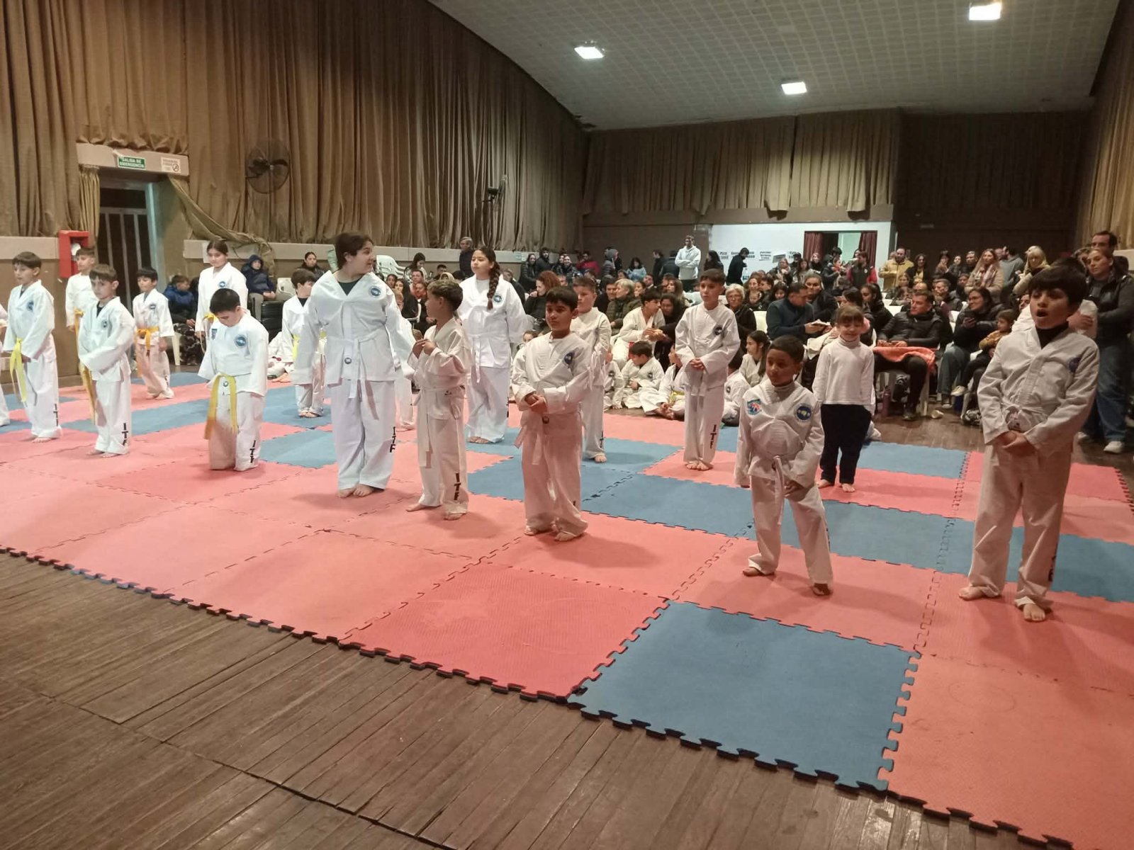 EX&Aacute;MENES DE TAEKWONDO EN MONTE MA&Iacute;Z