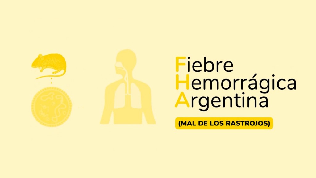 YA SON 10 LOS CASOS DE FIEBRE HEMORRÁGICA ARGENTINA 