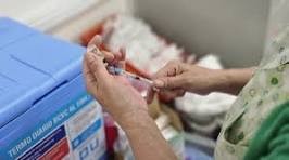 FIEBRE HEMORRÁGICA ARGENTINA: RECOMIENDAN VACUNARSE