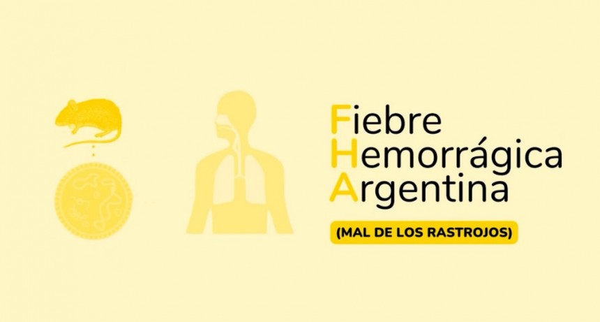 YA SON 10 LOS CASOS DE FIEBRE HEMORRÁGICA ARGENTINA 