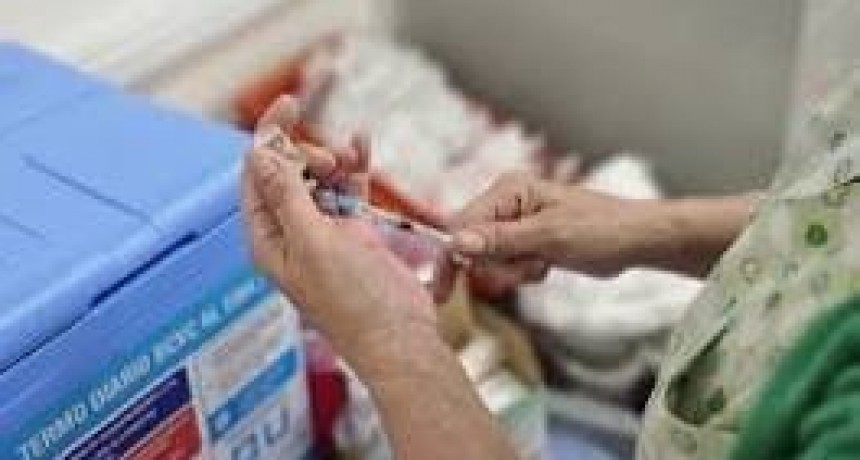 FIEBRE HEMORRÁGICA ARGENTINA: RECOMIENDAN VACUNARSE