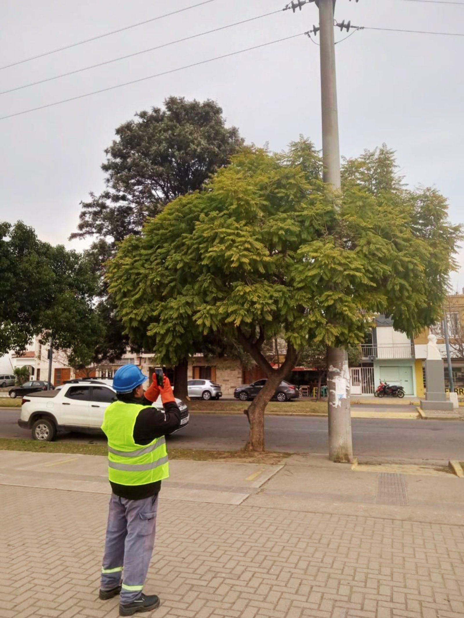 RELEVAMIENTO DE POSTES EN MAL ESTADO
