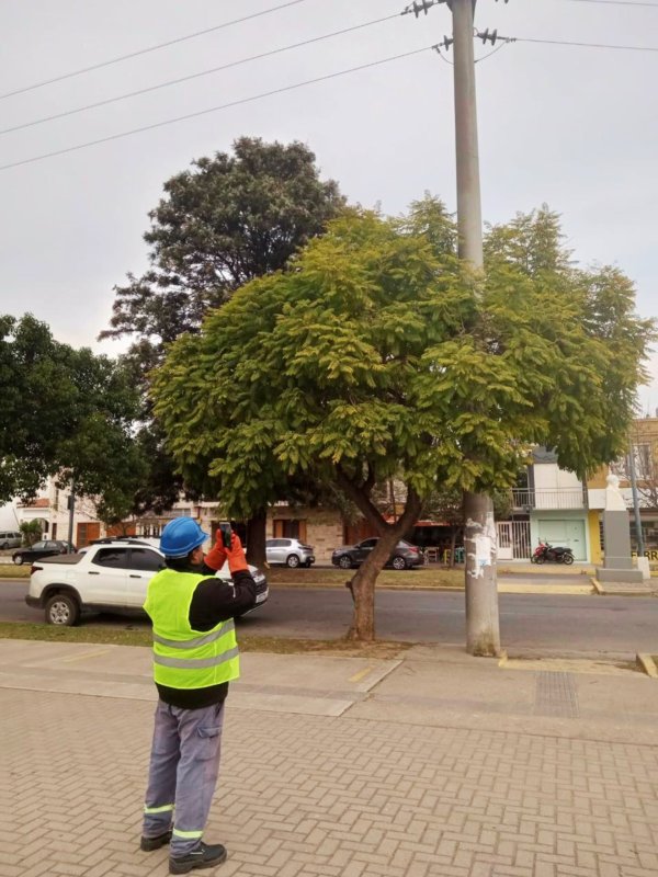 RELEVAMIENTO DE POSTES EN MAL ESTADO