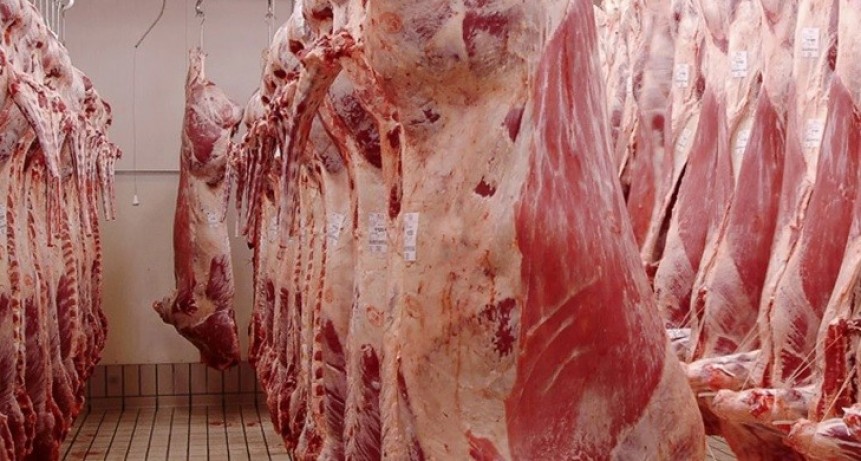 RECORD HISTÓRICO EN LA EXPORTACIÓN DE CARNE