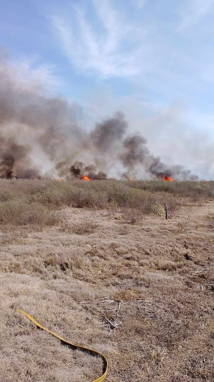 INCENDIO RURAL EN RUTA PROVINCIAL N° 3