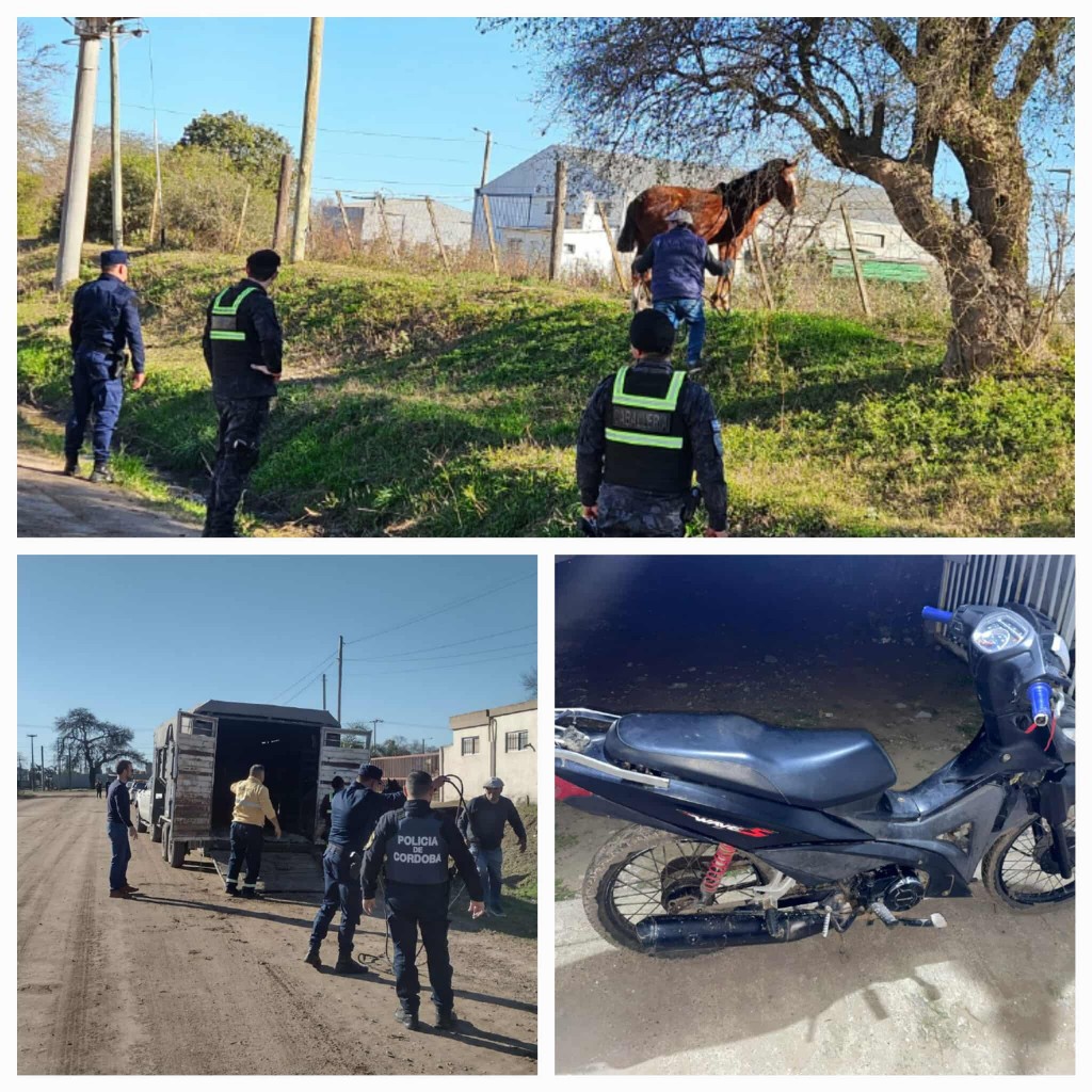 BELL VILLE: OPERATIVOS DEL FIN DE SEMANA