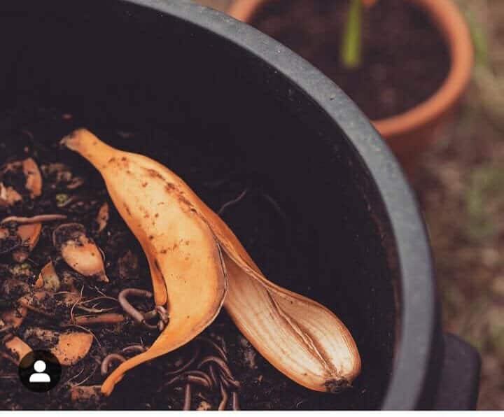 GRUPO DE VOLUNTARIOS TRANSFORMA RESIDUOS EN ABONO