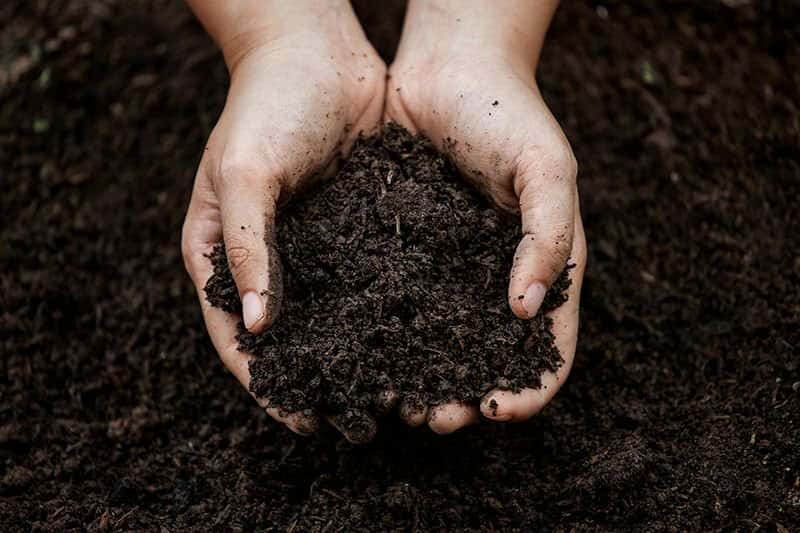 CÓMO SABER SI TU COMPOST ESTÁ LISTO