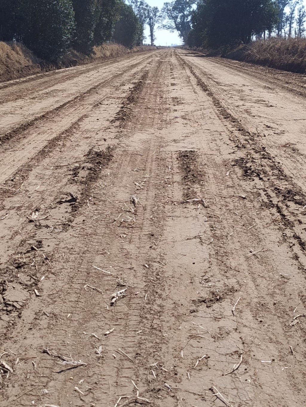REPARACIÓN DEL CAMINO RURAL 123-11