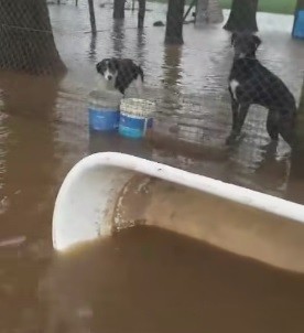 EL HOGAR COLITAS ANEGADO TRAS LA LLUVIA