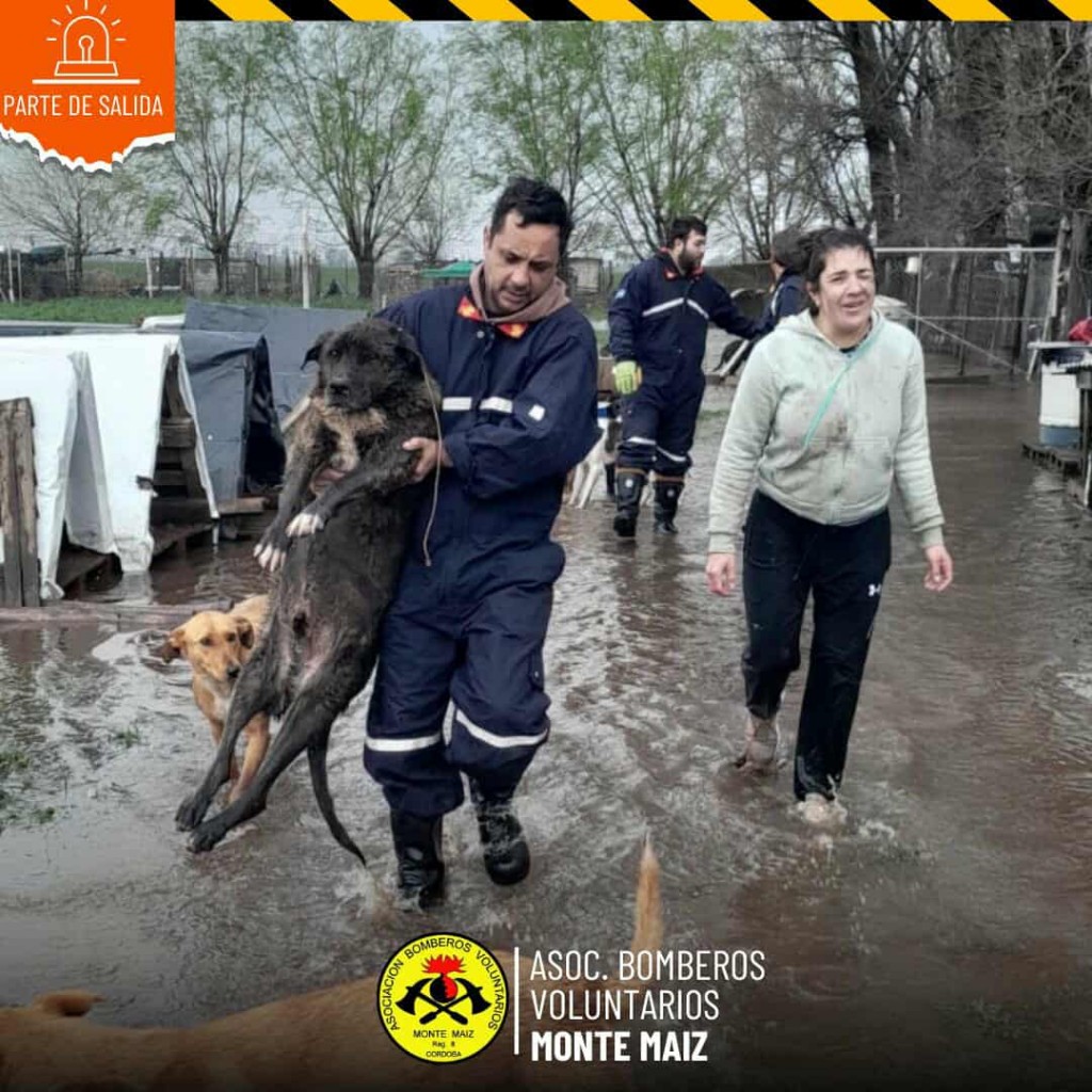 BOMBEROS Y MUNICIPALIDAD ACTUARON EN CONJUNTO EN EL REFUGIO