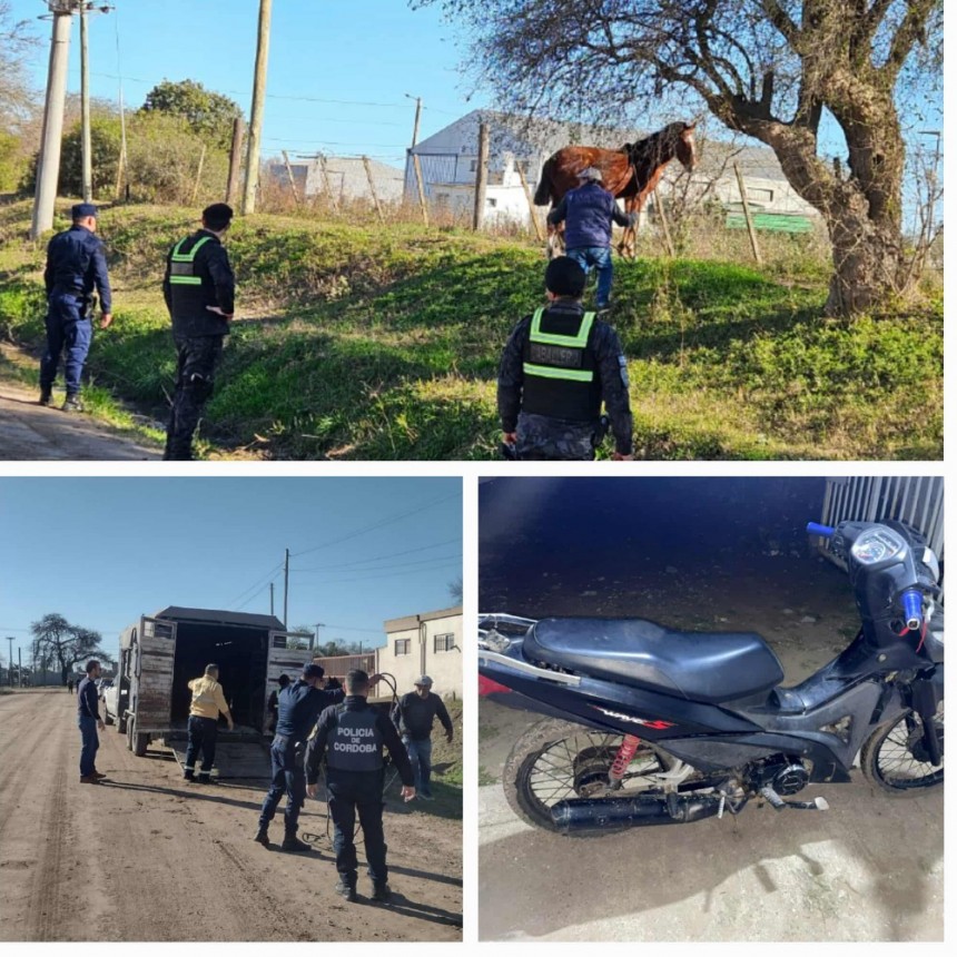BELL VILLE: OPERATIVOS DEL FIN DE SEMANA