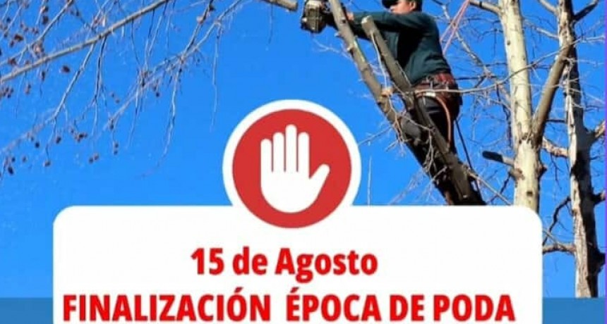 FINALIZA EL PERÍODO DE PODA DE ÁRBOLES