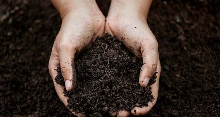 CÓMO SABER SI TU COMPOST ESTÁ LISTO